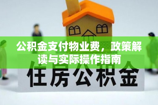 红岗公积金支付物业费，政策解读与实际操作指南